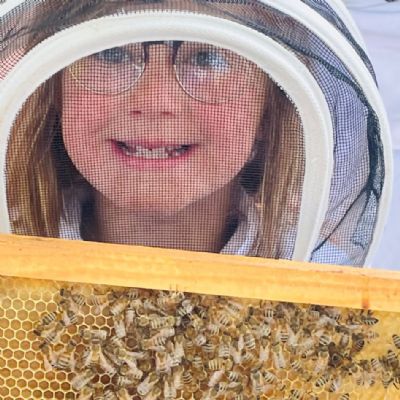 Bees
