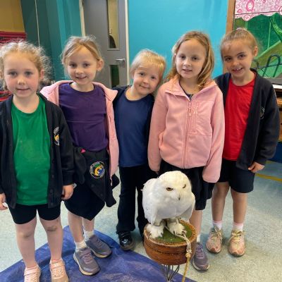 Year 1 Owl Babies